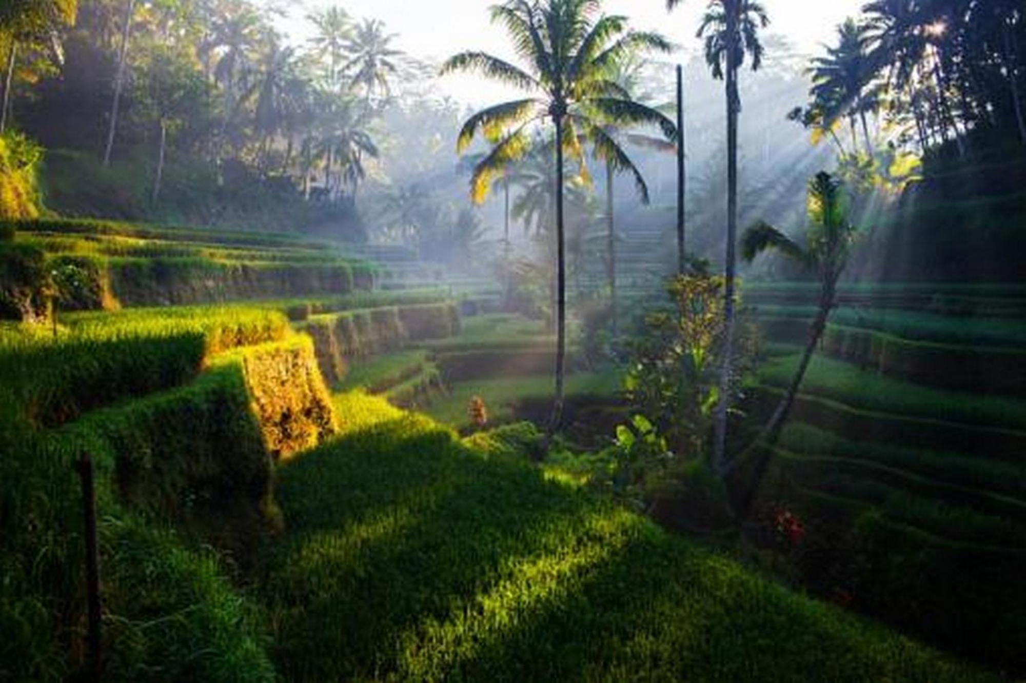 Villa Rumma Lanna By Betterplace Ubud (Bali)